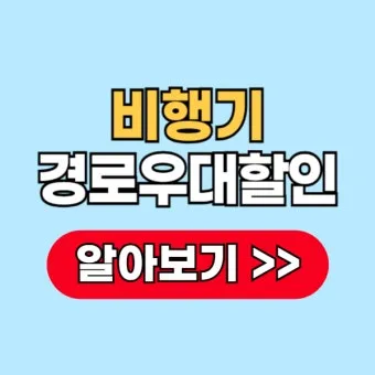 항공권 경로 할인 국내선 예매 수하물 좌석 팁_36