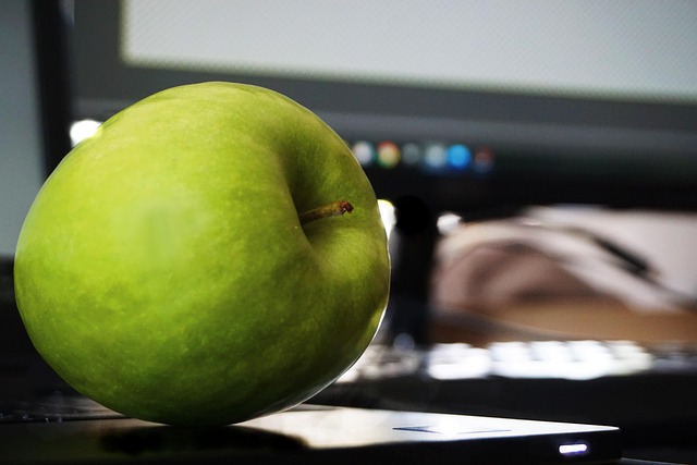 도심형 수직 농장 기획자, 도시 속 미래 농업을 설계하는 지속 가능 혁신 가