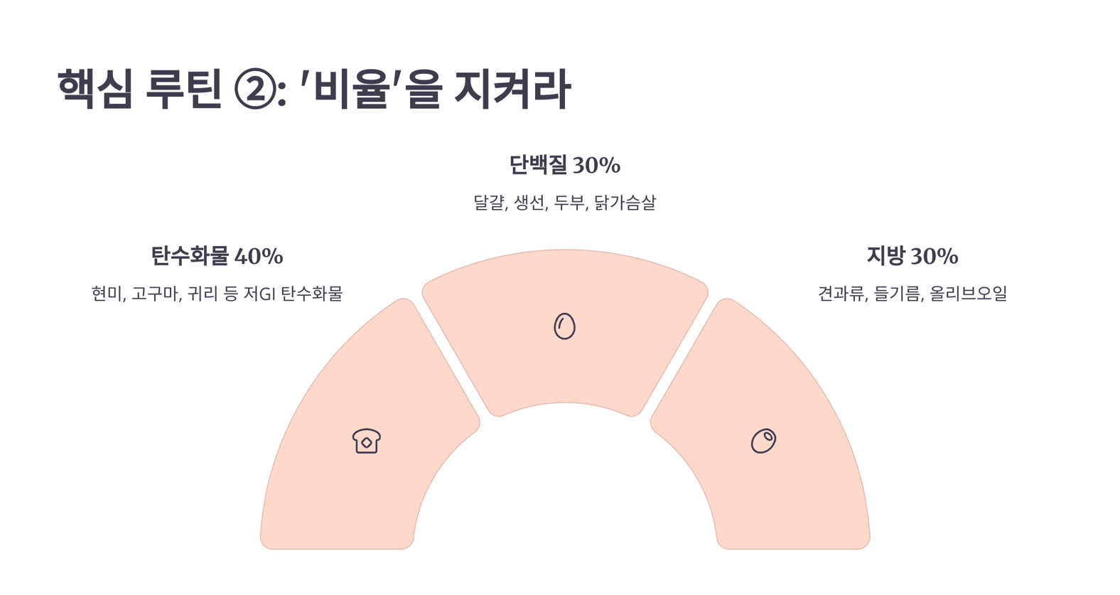 핵심루틴 비율 설명