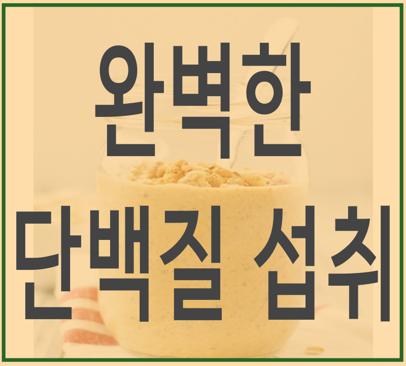 단백질 부족_과잉_증상_일일권장
