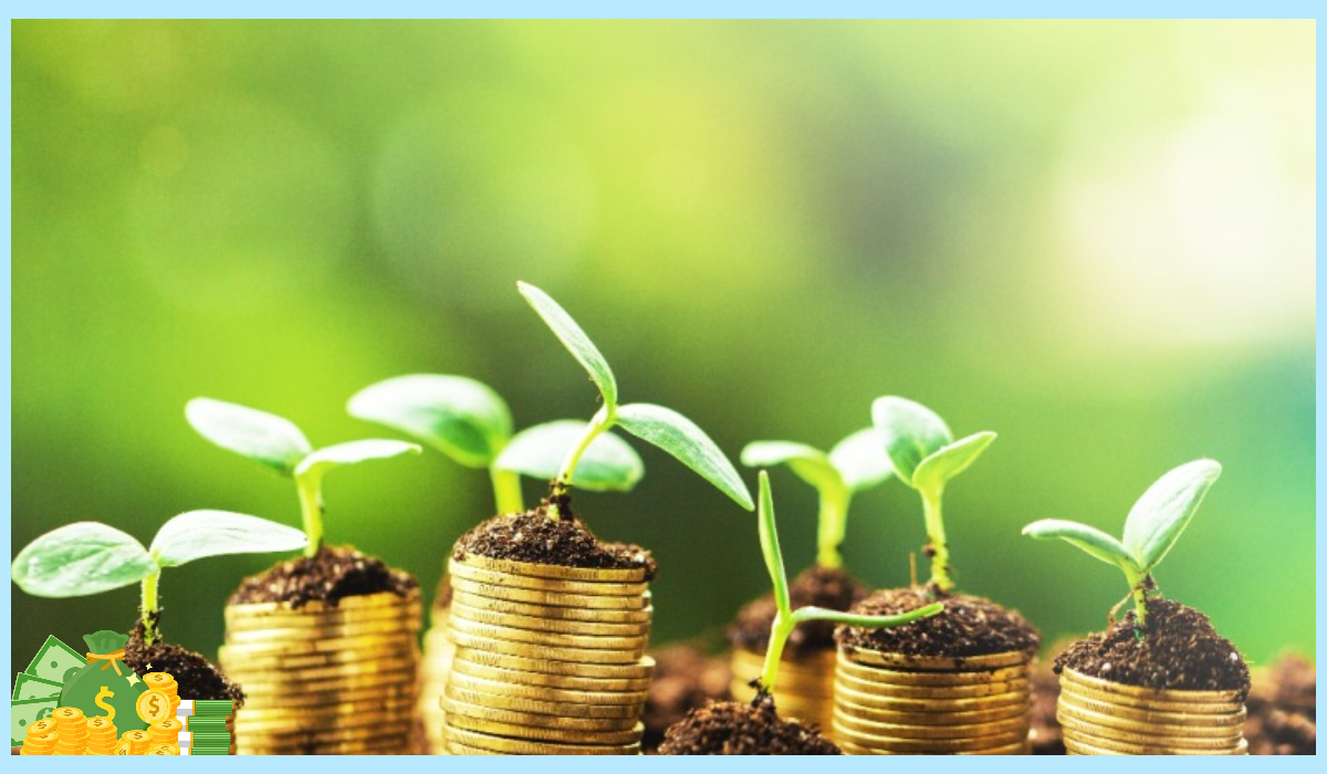 2025 전기차 보조금 청년