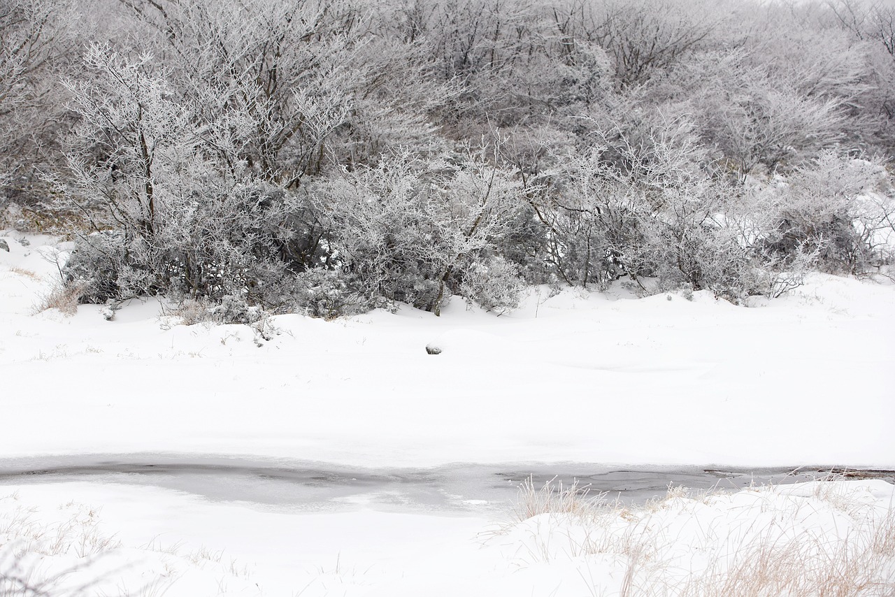 제주도 겨울여행