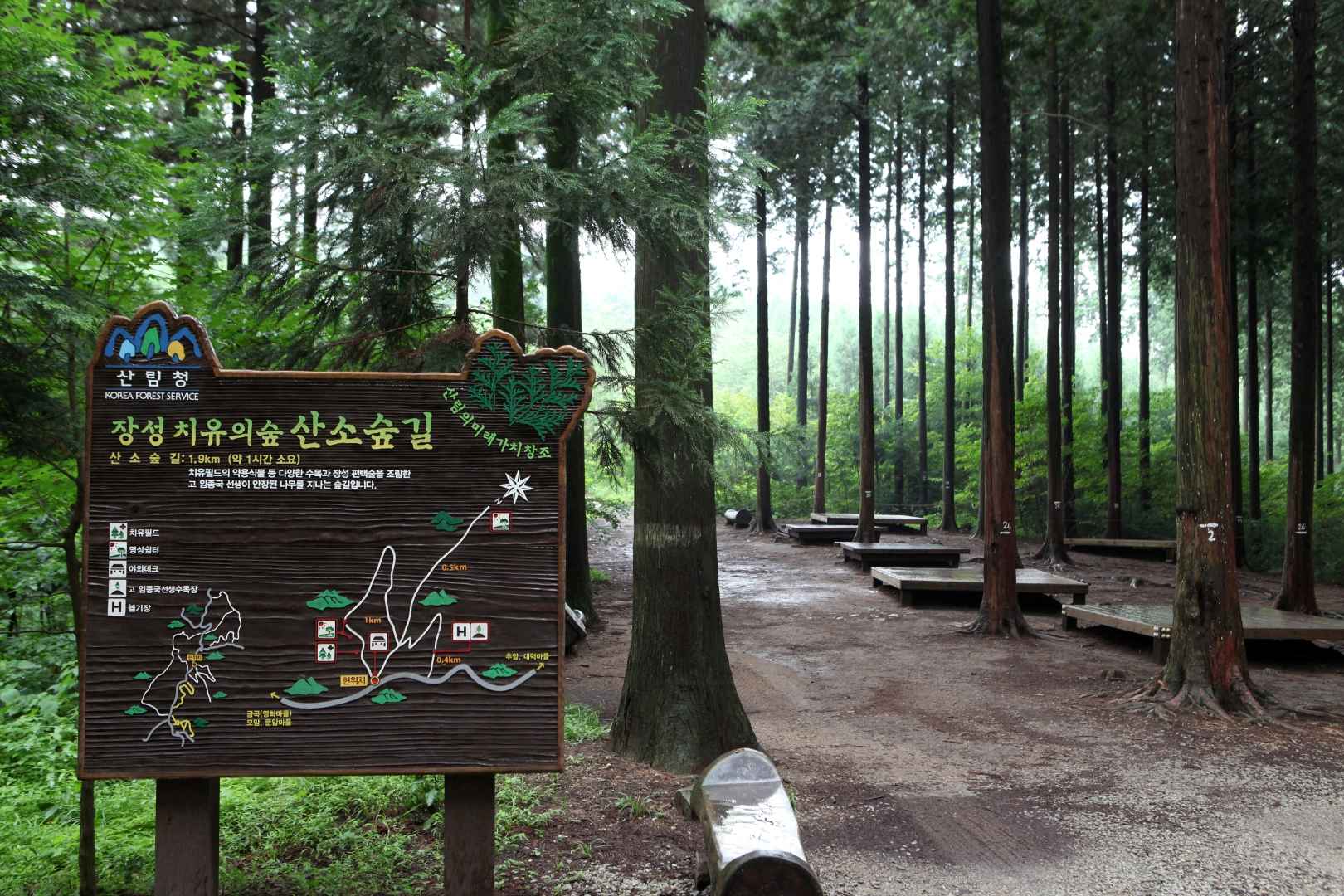 장성 축령산 자연휴양림