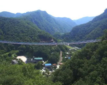 소금산 출렁다리_20