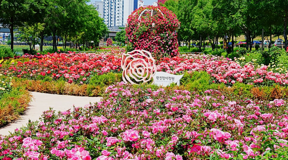 광진장미정원