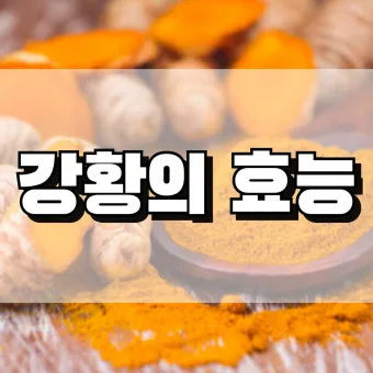 강황가루 효능 건강효과 및 활용방법 정리_7
