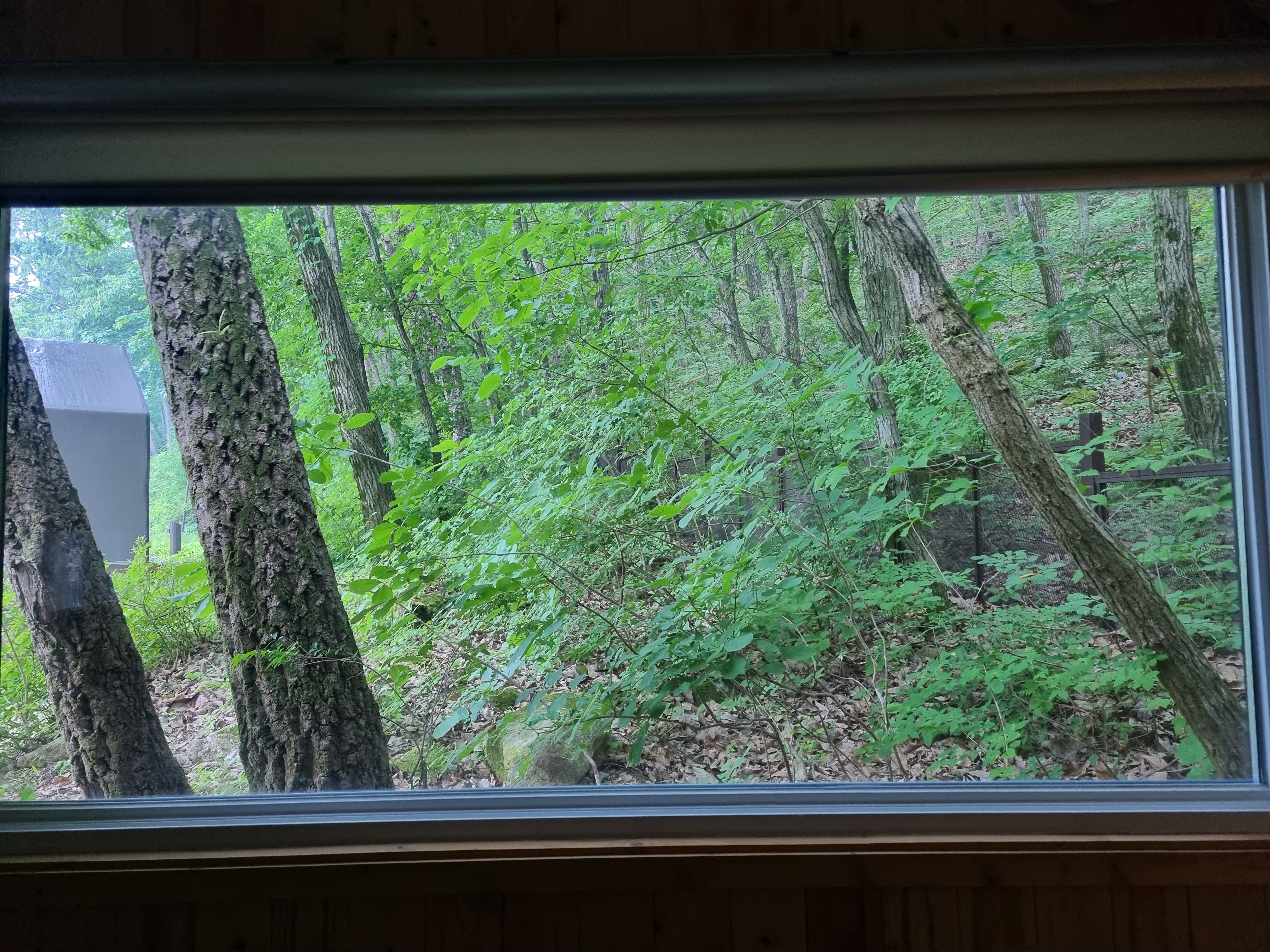 국립공원야영장