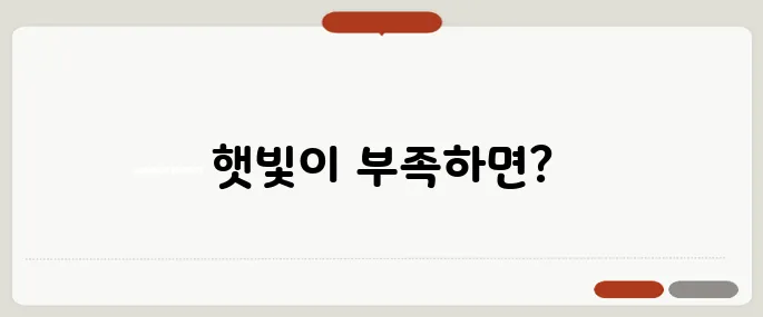비타민D 부족 증상 햇빛 부족이 건강에 미치는 영향