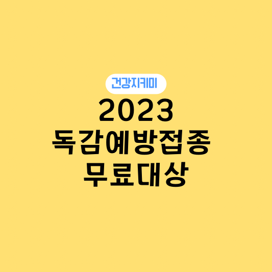 2023 독감 예방접종 시기와 무료접종 대상과 주의사항