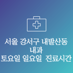서울 강서구 내발산동 내과 주말 토요일 일요일 문여는 병원 진료시간