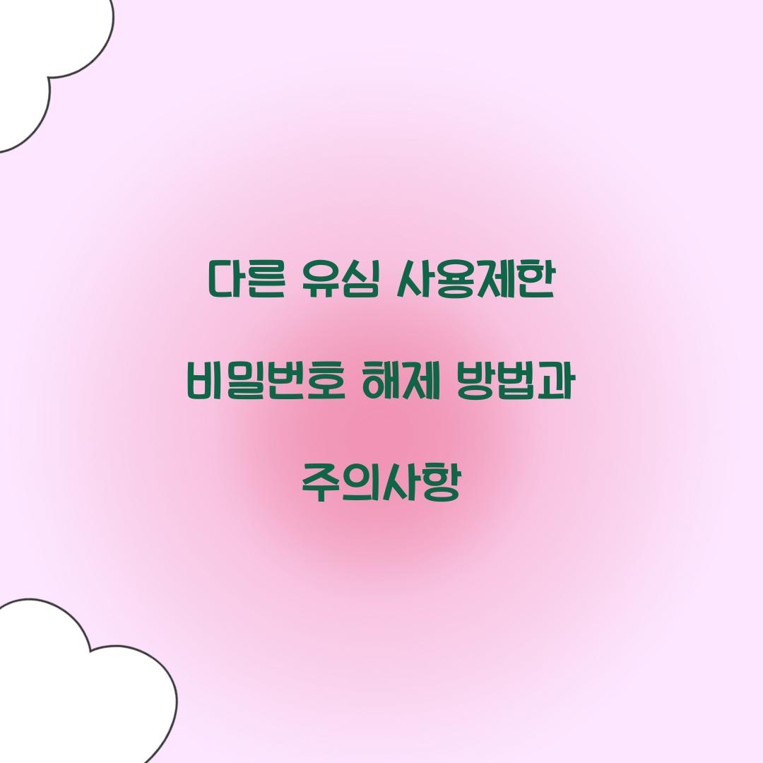 다른 유심 사용제한 비밀번호