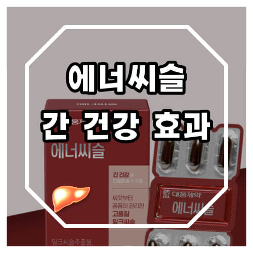 대웅제약 에너씨슬 효능 및 밀크씨슬의 간 건강 개선효과에 대해 알아보겠습니다.