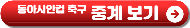 동아시안컵 축구
