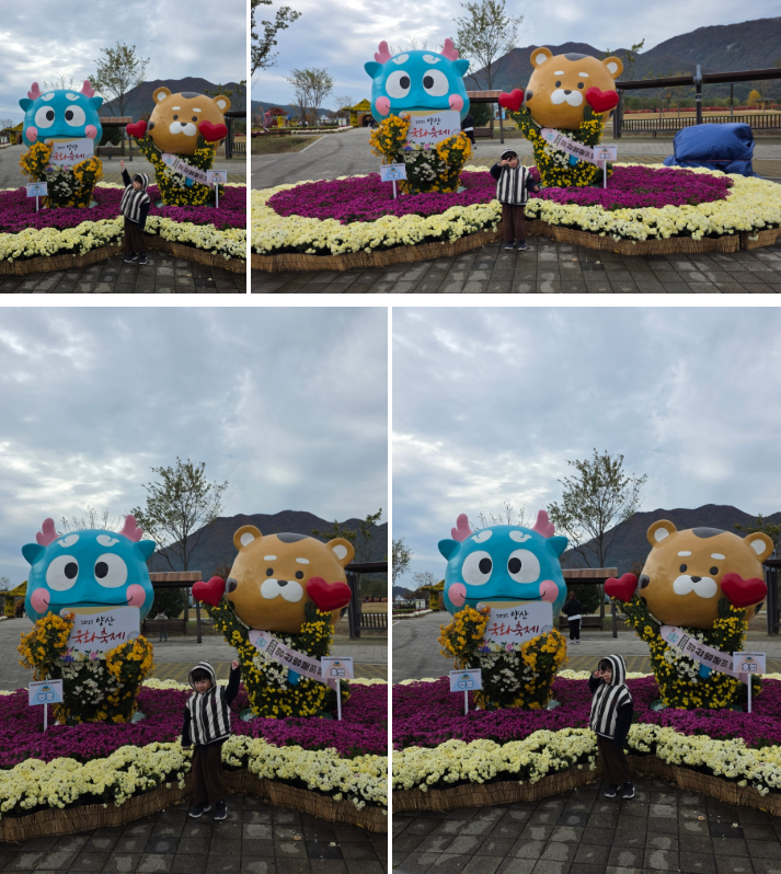 양산 아이와 가볼 만한 곳 : 황산공원 국화축제(11월) & 불빛정원(1월) 방문 후기