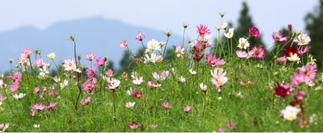 가을편&middot;겨울편 발급기간 및 입실기간