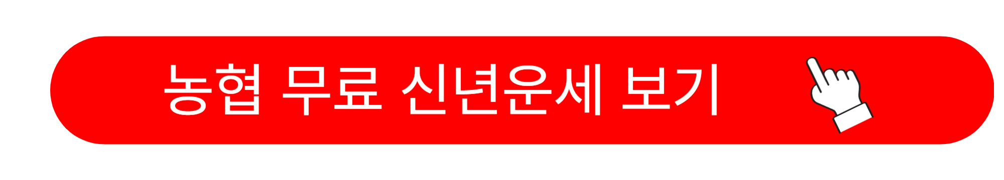 2025년 무료 신년운세