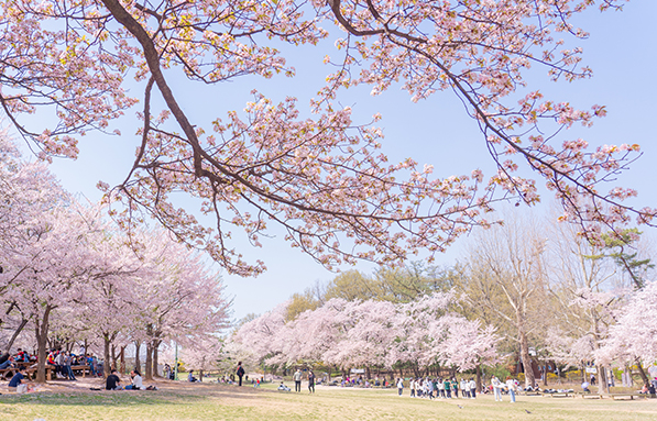 어린이대공원 & 건대입구