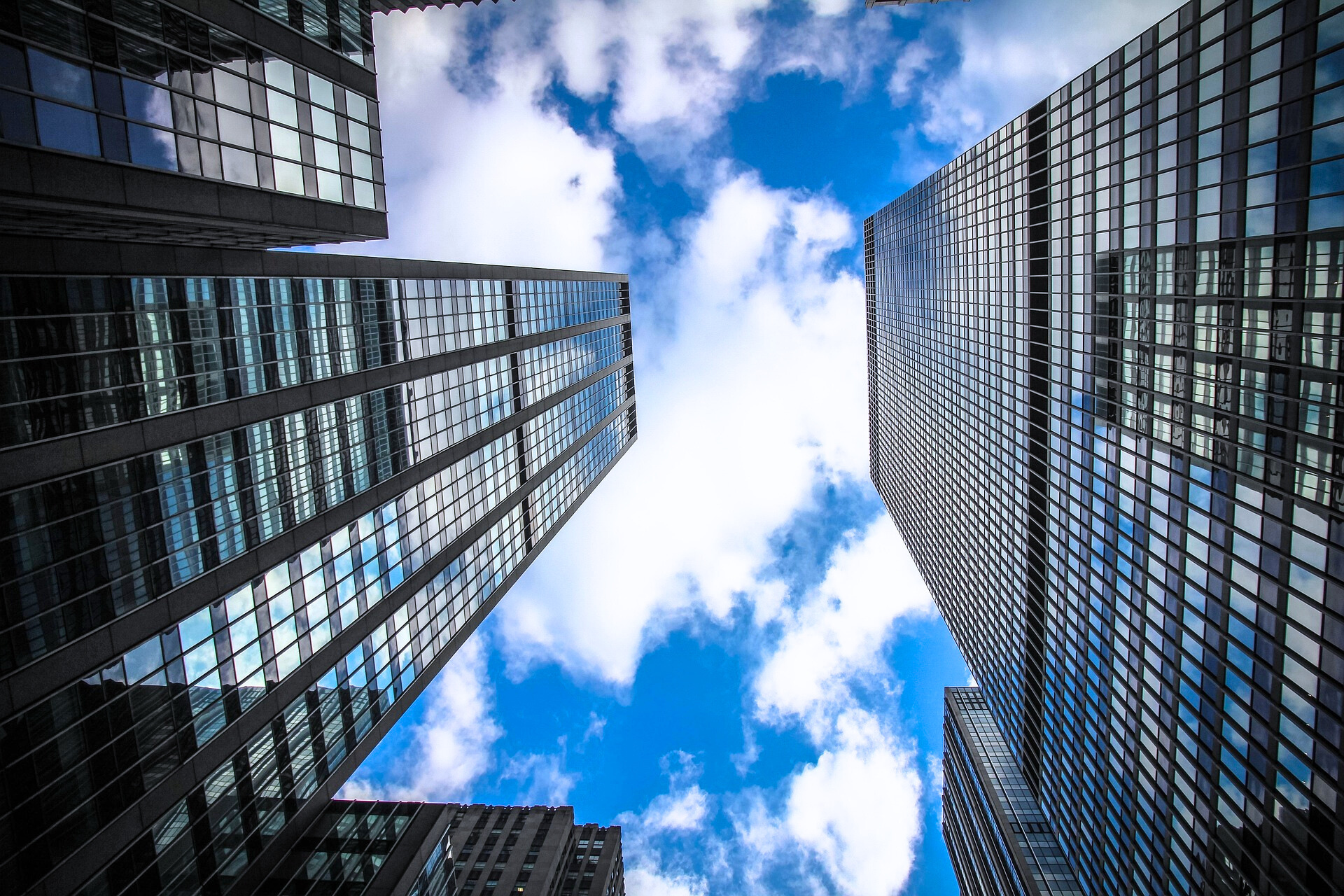 서북권 빌딩 관련 사진