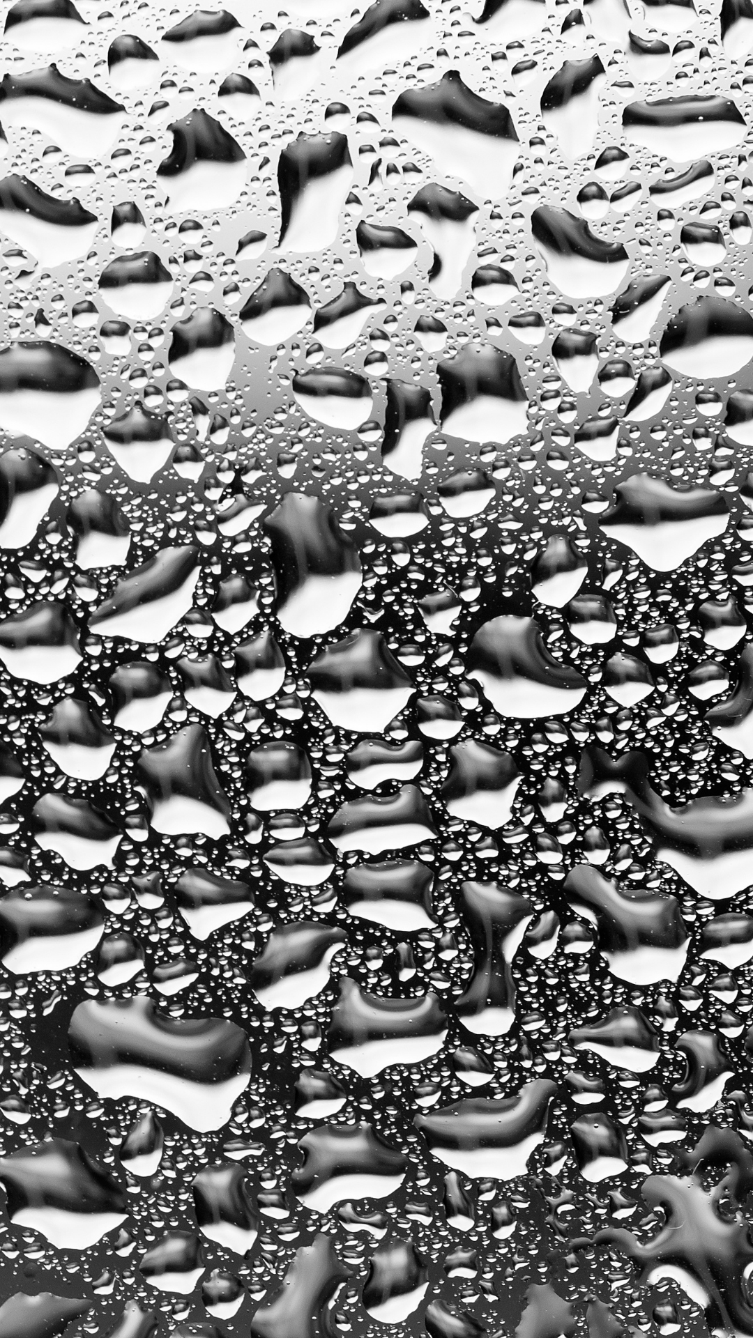 빗방울 배경화면 스마트폰 이미지 사진 그림 모음집