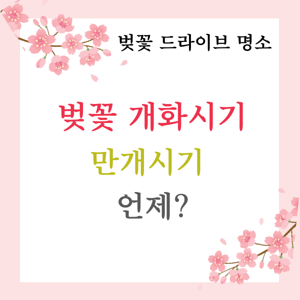 벚꽃개화시기 2024