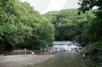 유명산 자연휴양림_2