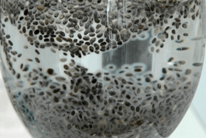 치아시드 효능08