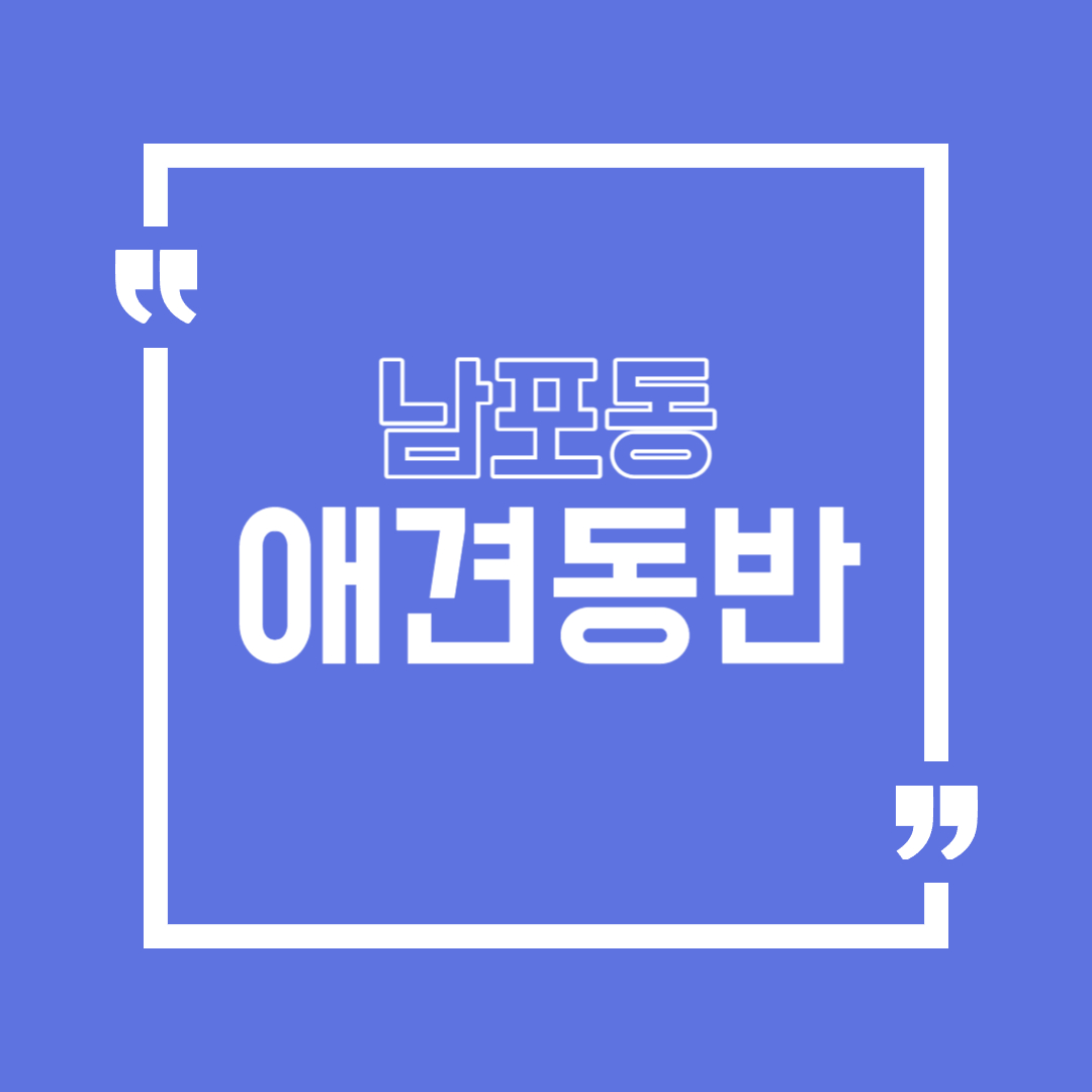 남포동 애견동반