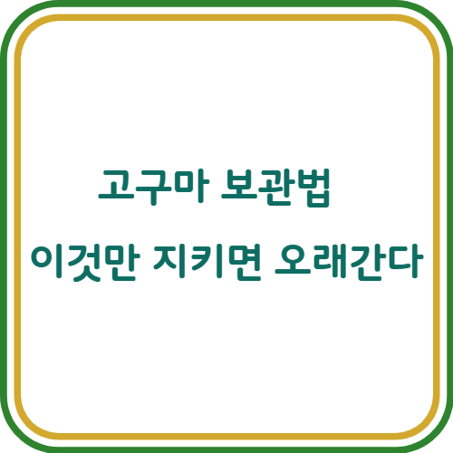 고구마 보관하는 법