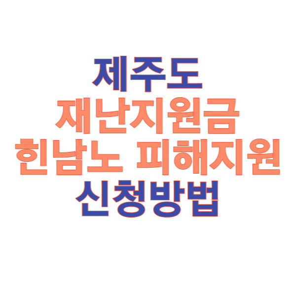 제주도재난지원금힌남도피해지원금 신청방법 썸네일