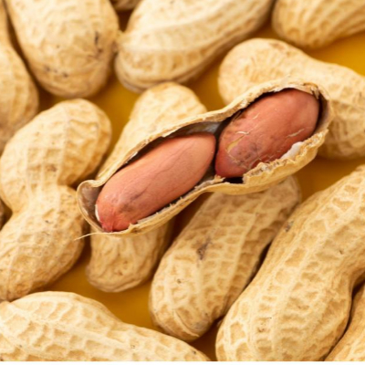 햇땅콩 피땅콩 삶는 법 보관 방법9