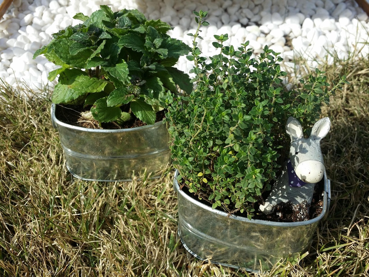 도시농업과 ESG 실천법: 실내·실외에서 가능한 친환경 농법