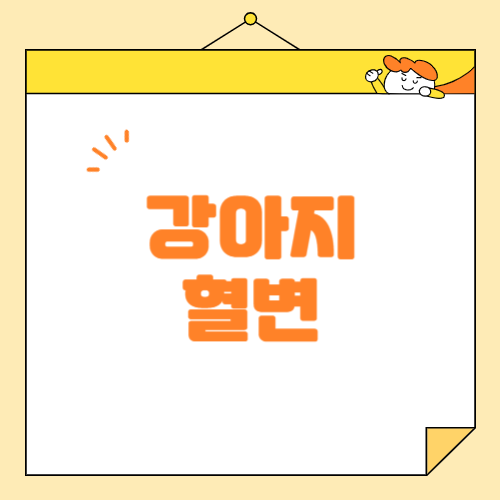 강아지가 혈변을 보았을 때 의심해야 할 질병