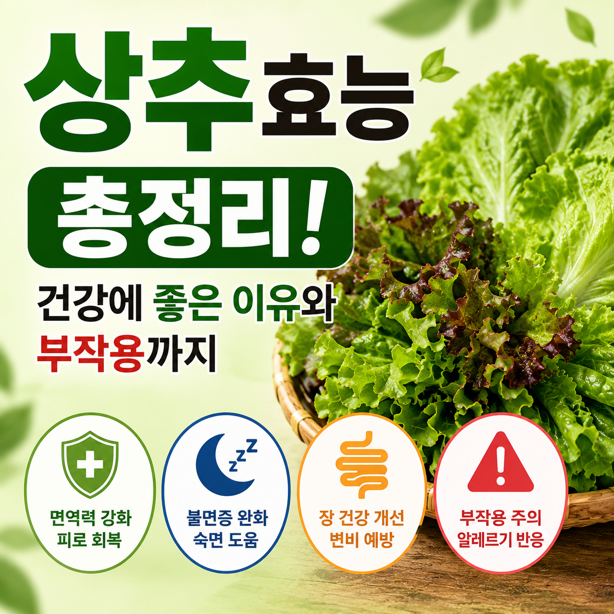 상추 효능