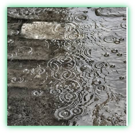 장마철 집안의 습기와 곰팡이 방지, 관리 및 제거 방법