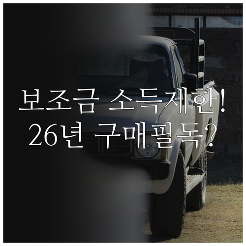 전기차 보조금 소득 제한 도입 계획과..