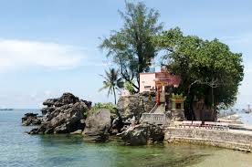 푸꾸옥 후추농장