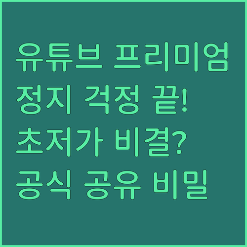 계정 정지 걱정 끝 유튜브 프리미엄 ..