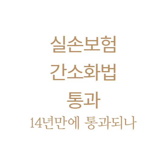 실손보험 간소화