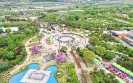 함평나비대축제