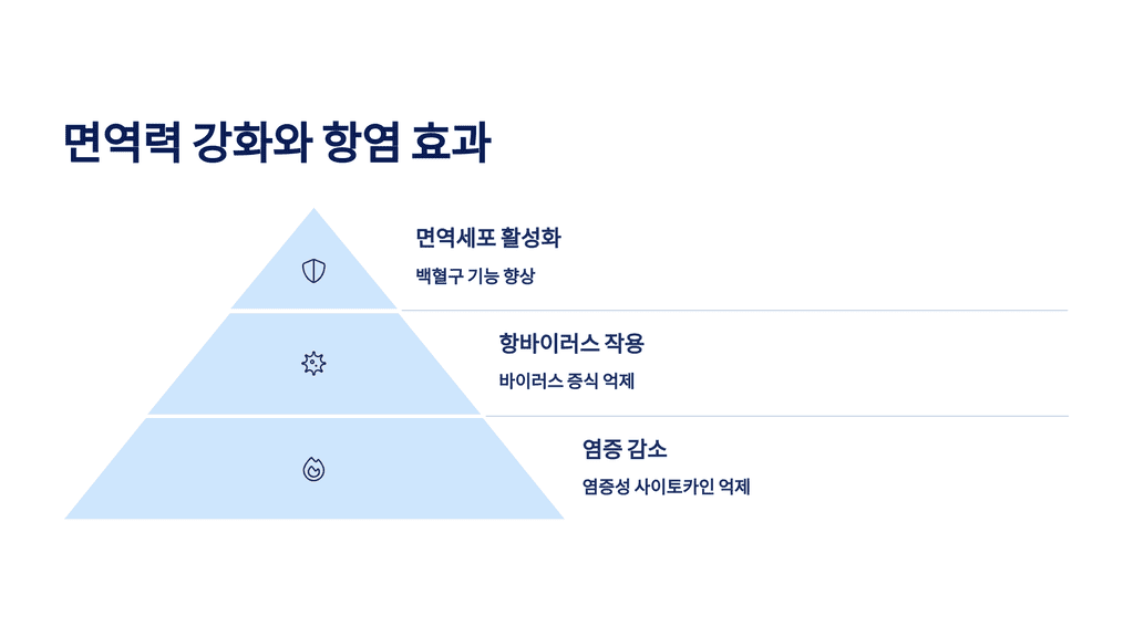 면역력 강화와 항염 효과