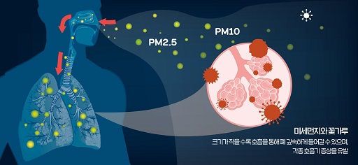 글의 이해를 돕기 위한 미세먼지와 초미세먼지 그리고 폐