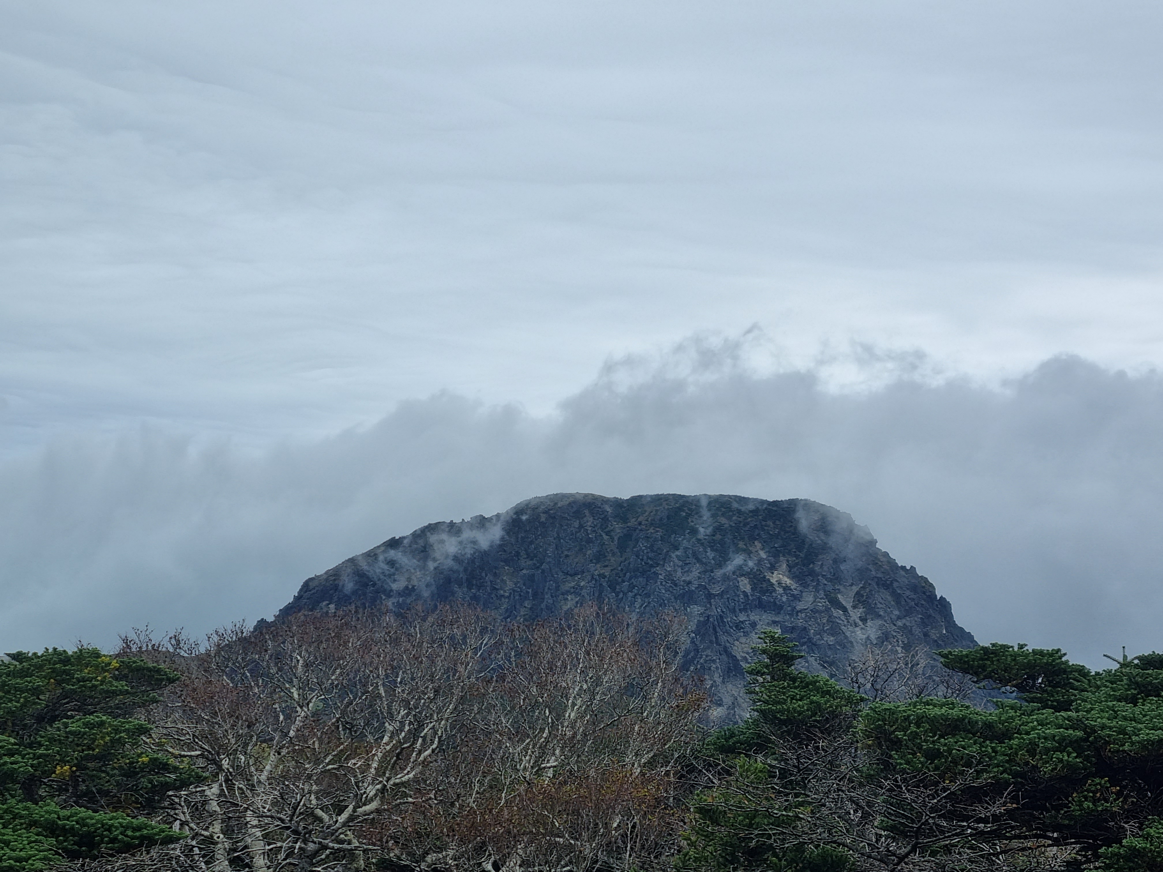 윗세오름 영실코스