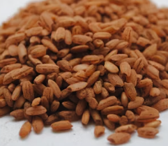 만성 췌장염에 좋은 음식 영양제 식단