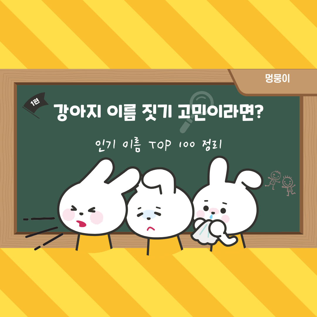 강아지 이름