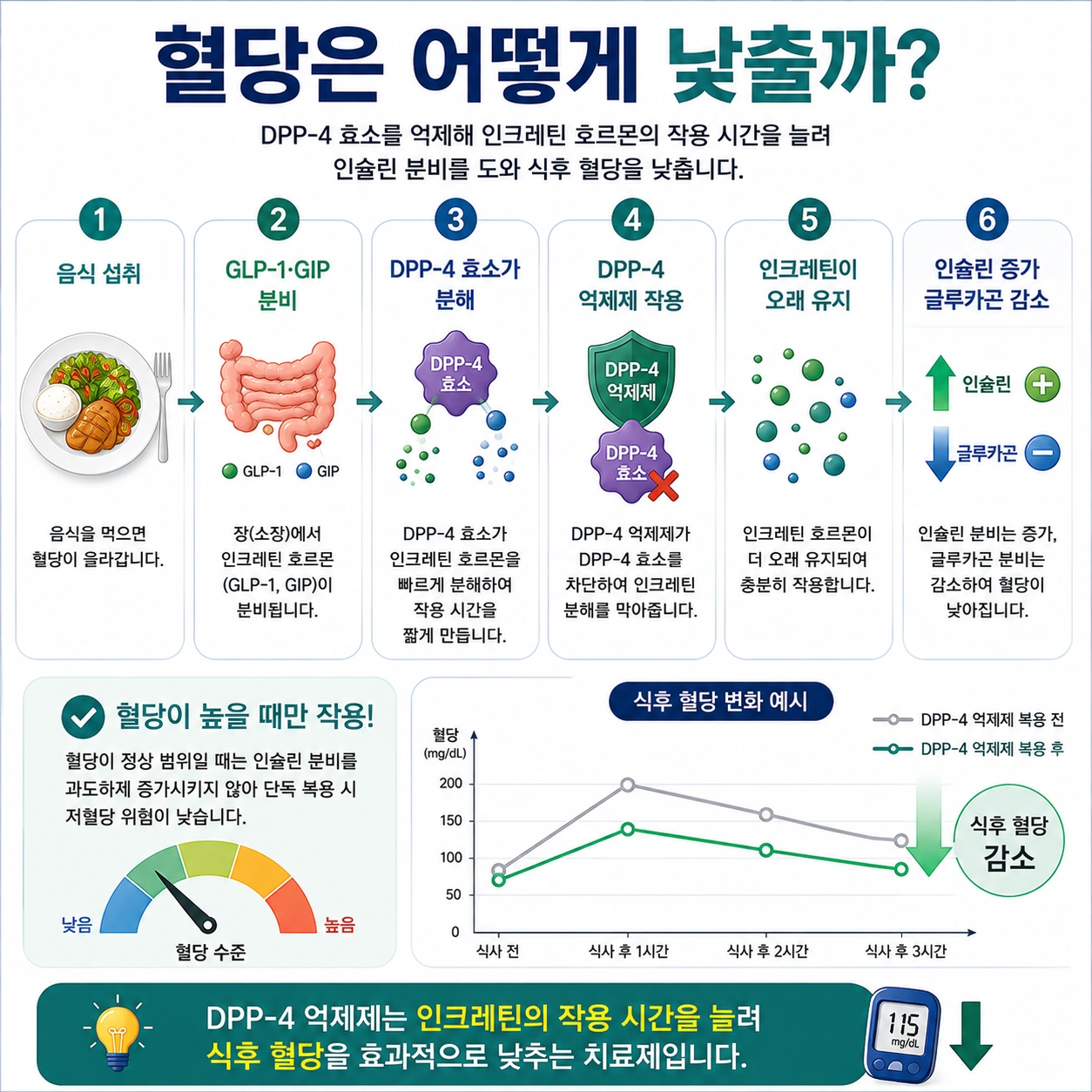 DPP-4-혈당을-낮추는-원리