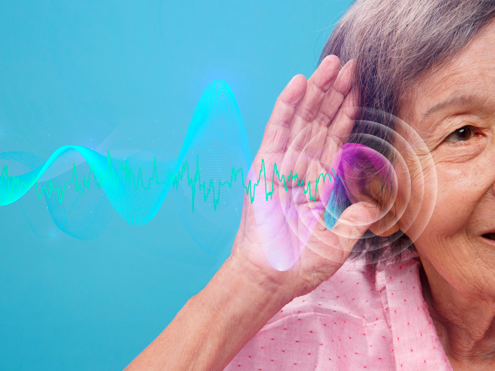 노화 청력 감소