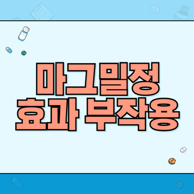마그밀정-효과