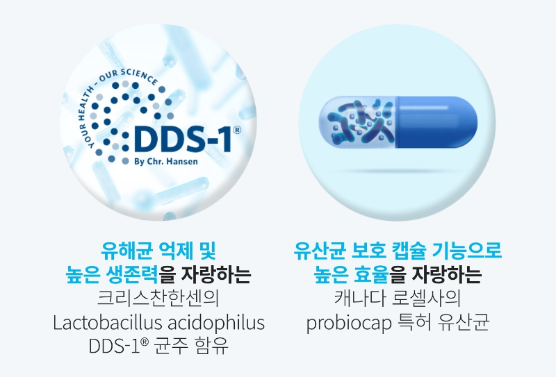 🏆 10종 유산균 균주의 황금 배합: 애터미 친생 유산균은 무려 10가지 종류의 유산균을 배합했어요! 락토바실러스, 비피더스 등 다양한 균주들이 소장부터 대장까지 장의 각기 다른 부위에서 최적의 효과를 낼 수 있도록 과학적으로 설계된 것이죠. 이런 황금 배합은 장 건강 관리의 핵심