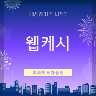 웹케시 기업 로고