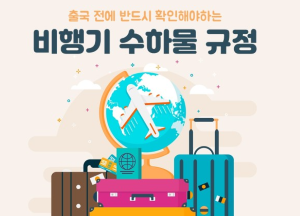 비행기 수하물 규정 이미지